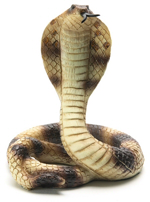 Egyptian Cobra