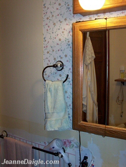Bathroom Before Picture