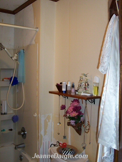 Bathroom Before Picture