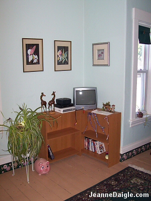Living Room Before Picture