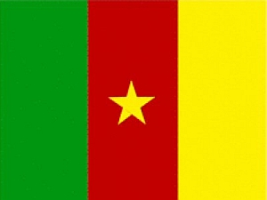 Cameroon Flag