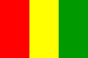 Guinea Flag