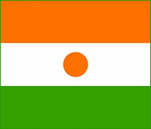 Niger Flag