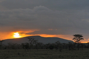 Lewa Wildlife Conservancy